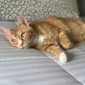 Meet your Posher, Chris